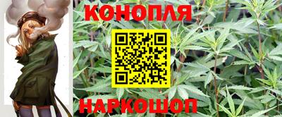 соль ск Будённовск