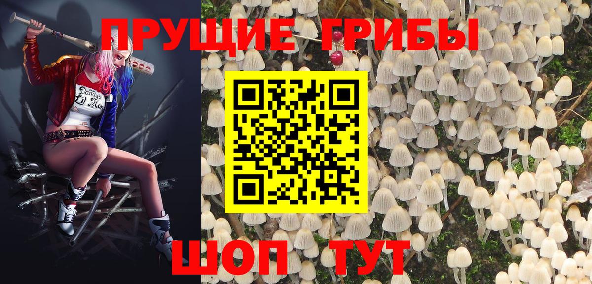 закладка  Псилоцибиновые грибы Psilocybine cubensis  Вход с VPN  Люберцы  Псилоцибиновые грибы Magic Shrooms 